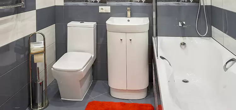 Hansgrohe Shaving Mirror Evansville